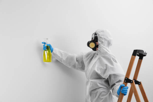 Best Mold Removal for HVAC Installations  in Mansfield, TX